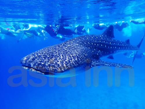 Hangnaameedhoo Maldives Promo Code Booking.com