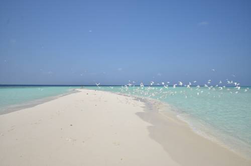 Ukulhas Maldives Promo Code Booking.com