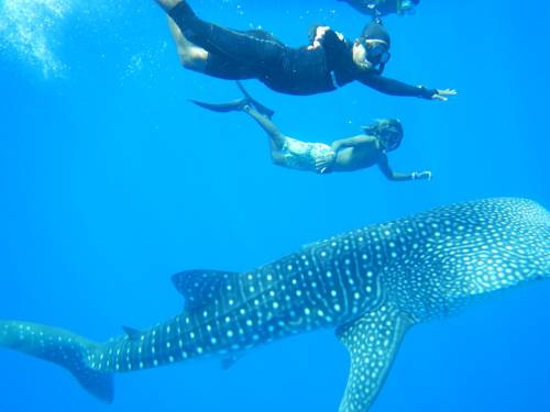 Maamigili Maldives Promo Code Booking.com