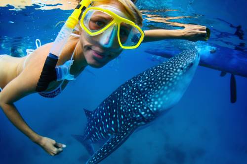 Dharavandhoo Island, Baa Atoll Maldives Promo Code Booking.com