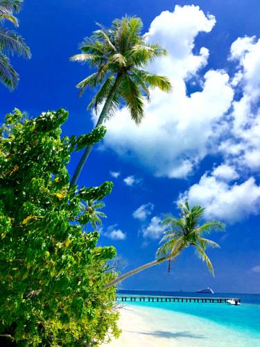 Guraidhoo Maldives Promo Code Booking.com